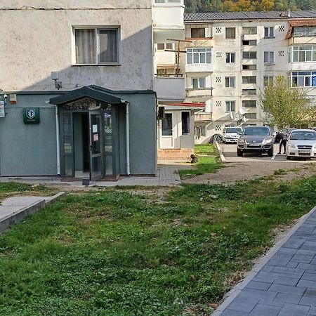 Apartament Brezoi Apartment Екстериор снимка