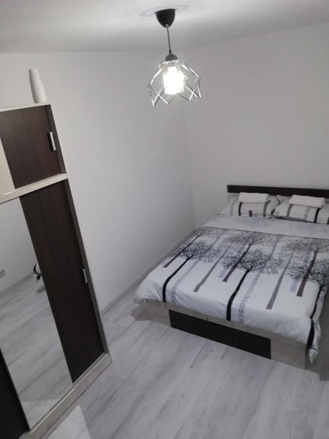 Apartament Brezoi Apartment Екстериор снимка