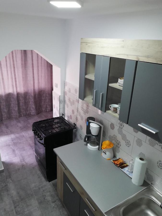 Apartament Brezoi Apartment Екстериор снимка