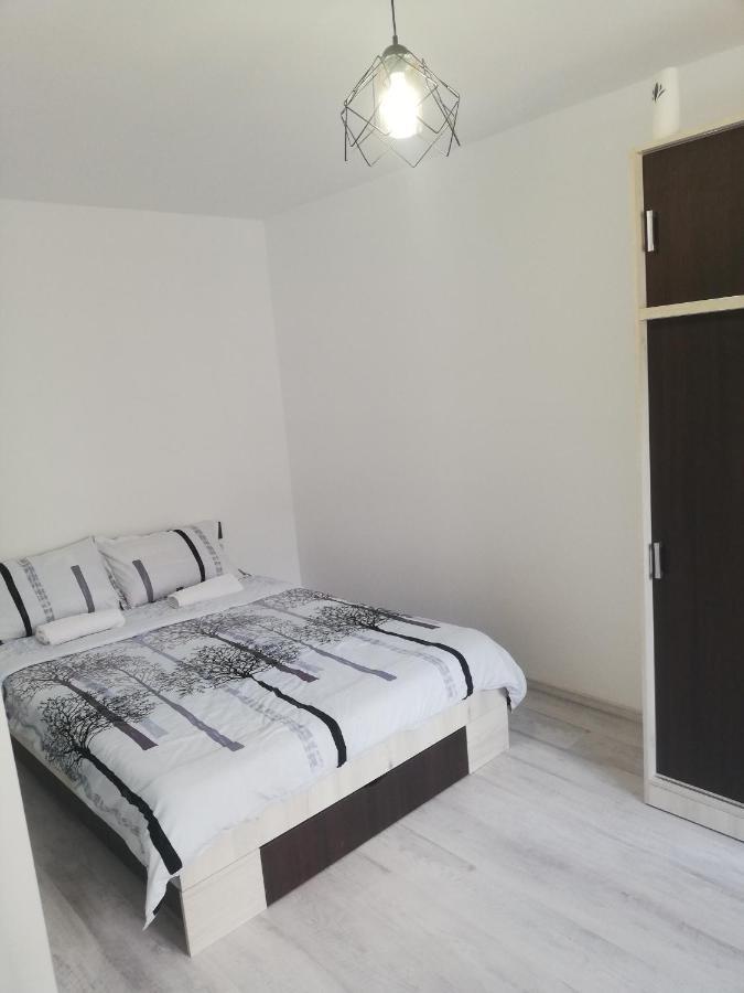 Apartament Brezoi Apartment Екстериор снимка