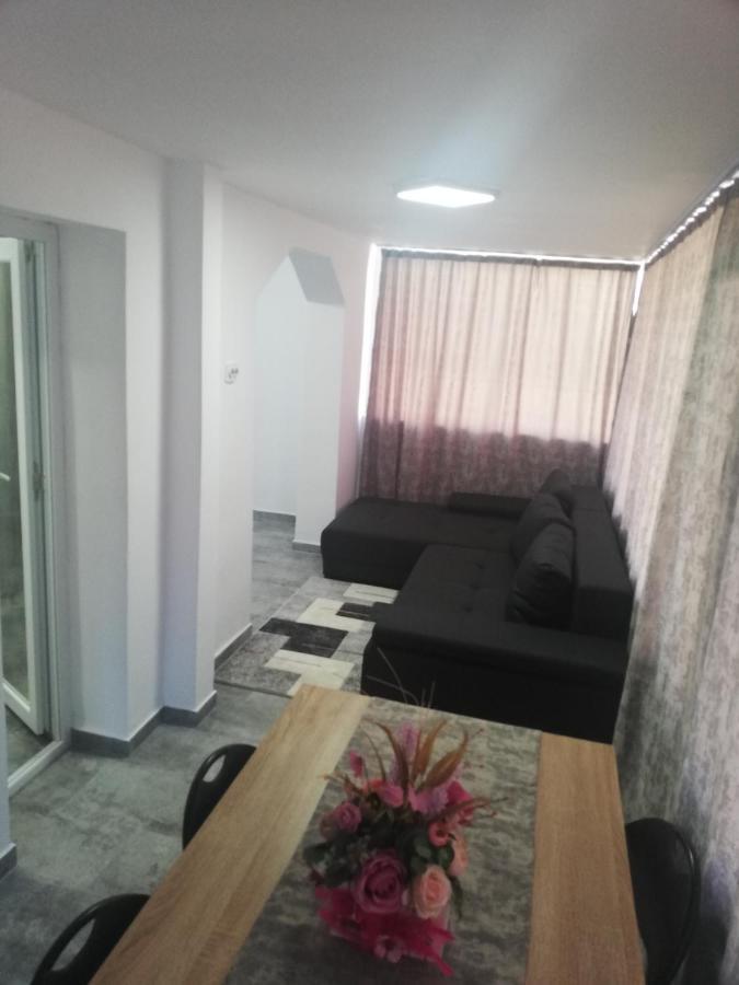 Apartament Brezoi Apartment Екстериор снимка