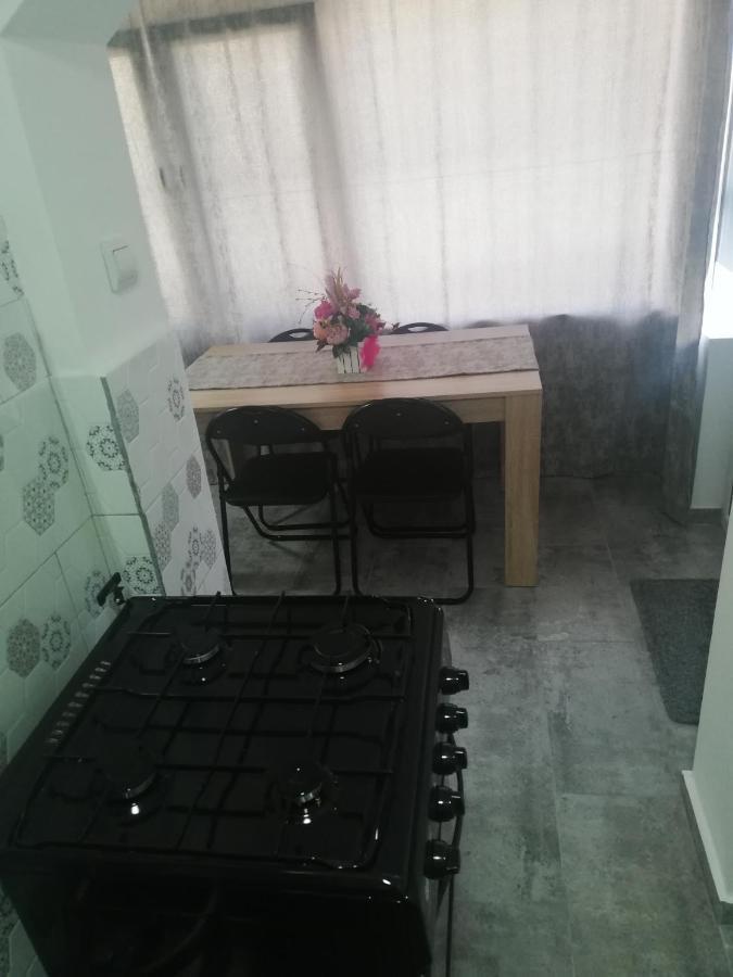 Apartament Brezoi Apartment Екстериор снимка
