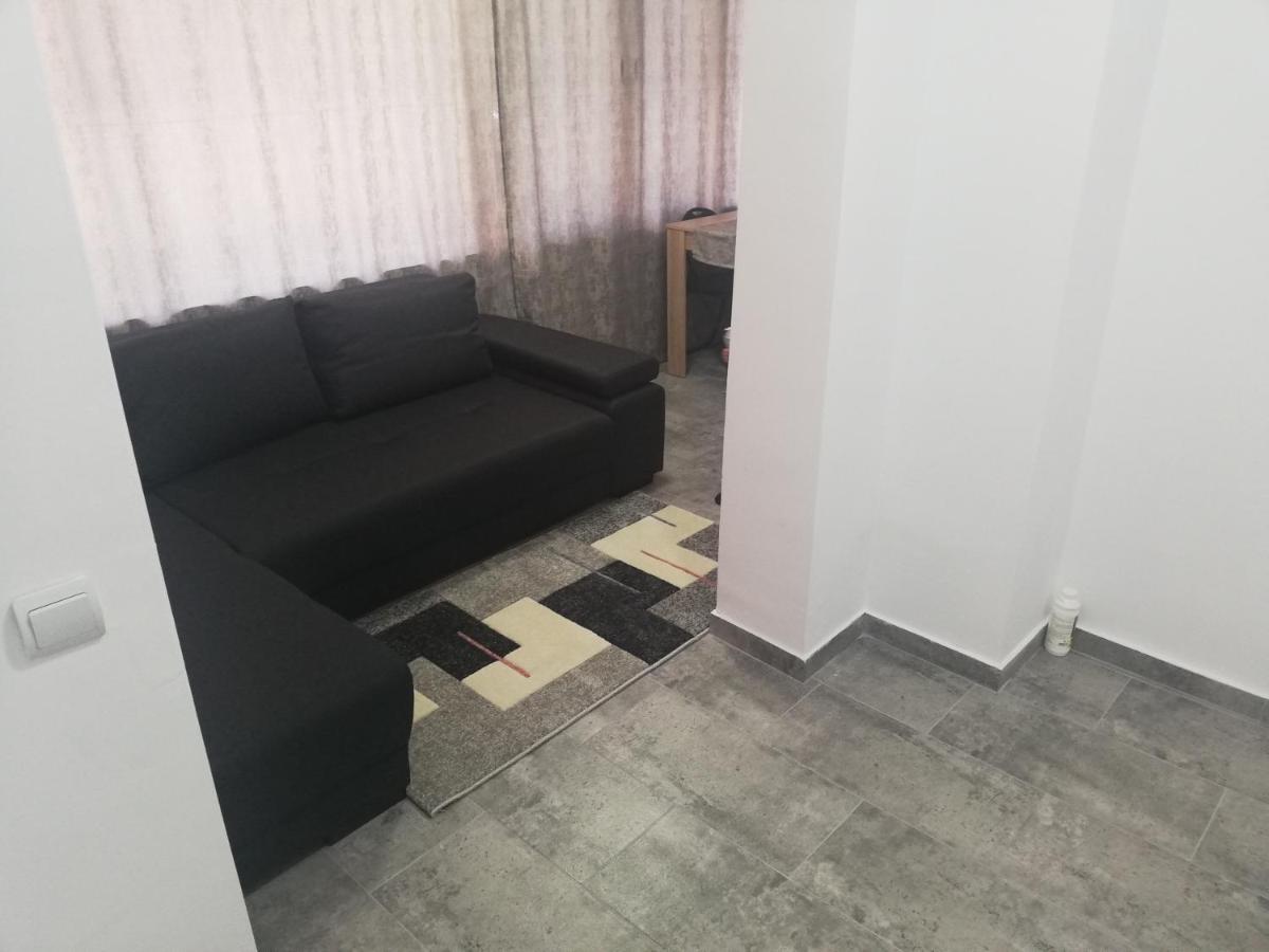 Apartament Brezoi Apartment Екстериор снимка