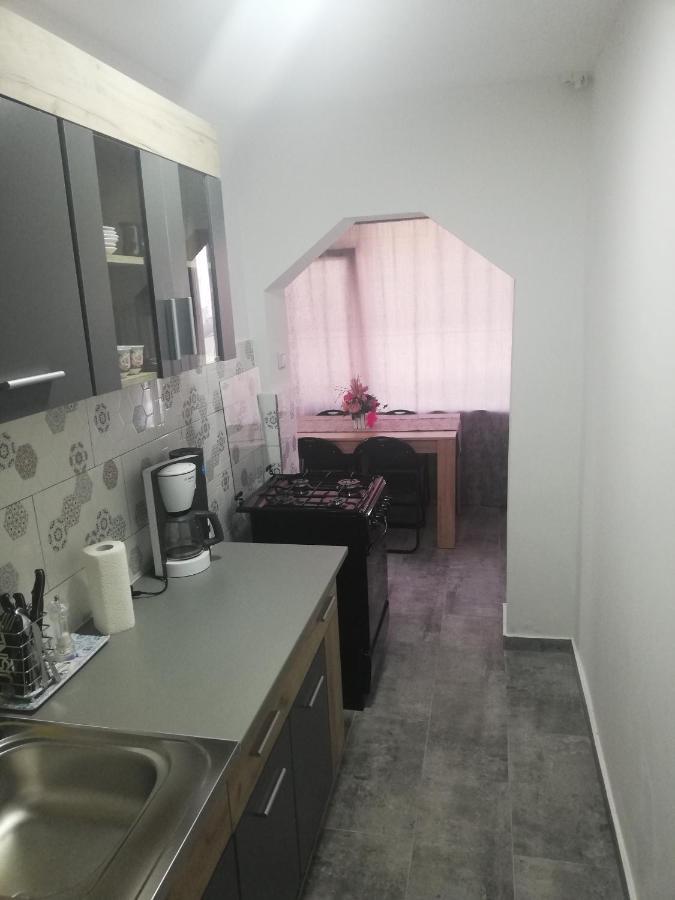 Apartament Brezoi Apartment Екстериор снимка