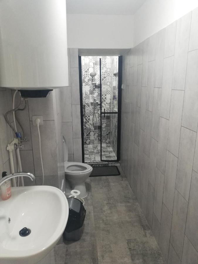 Apartament Brezoi Apartment Екстериор снимка