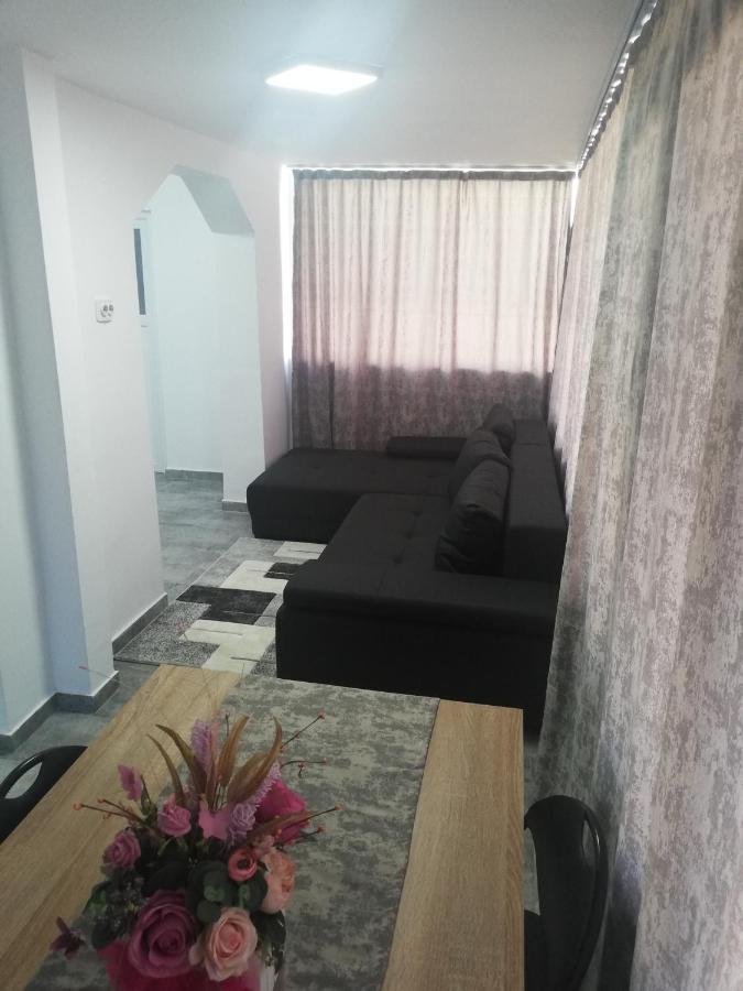 Apartament Brezoi Apartment Екстериор снимка