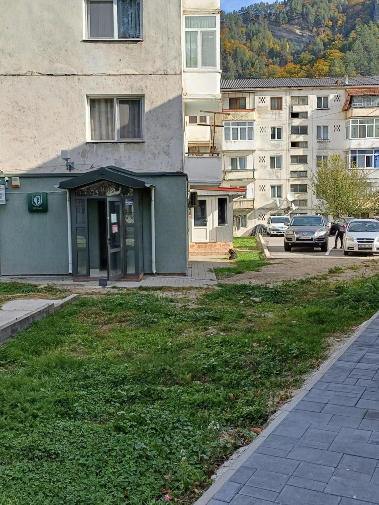 Apartament Brezoi Apartment Екстериор снимка